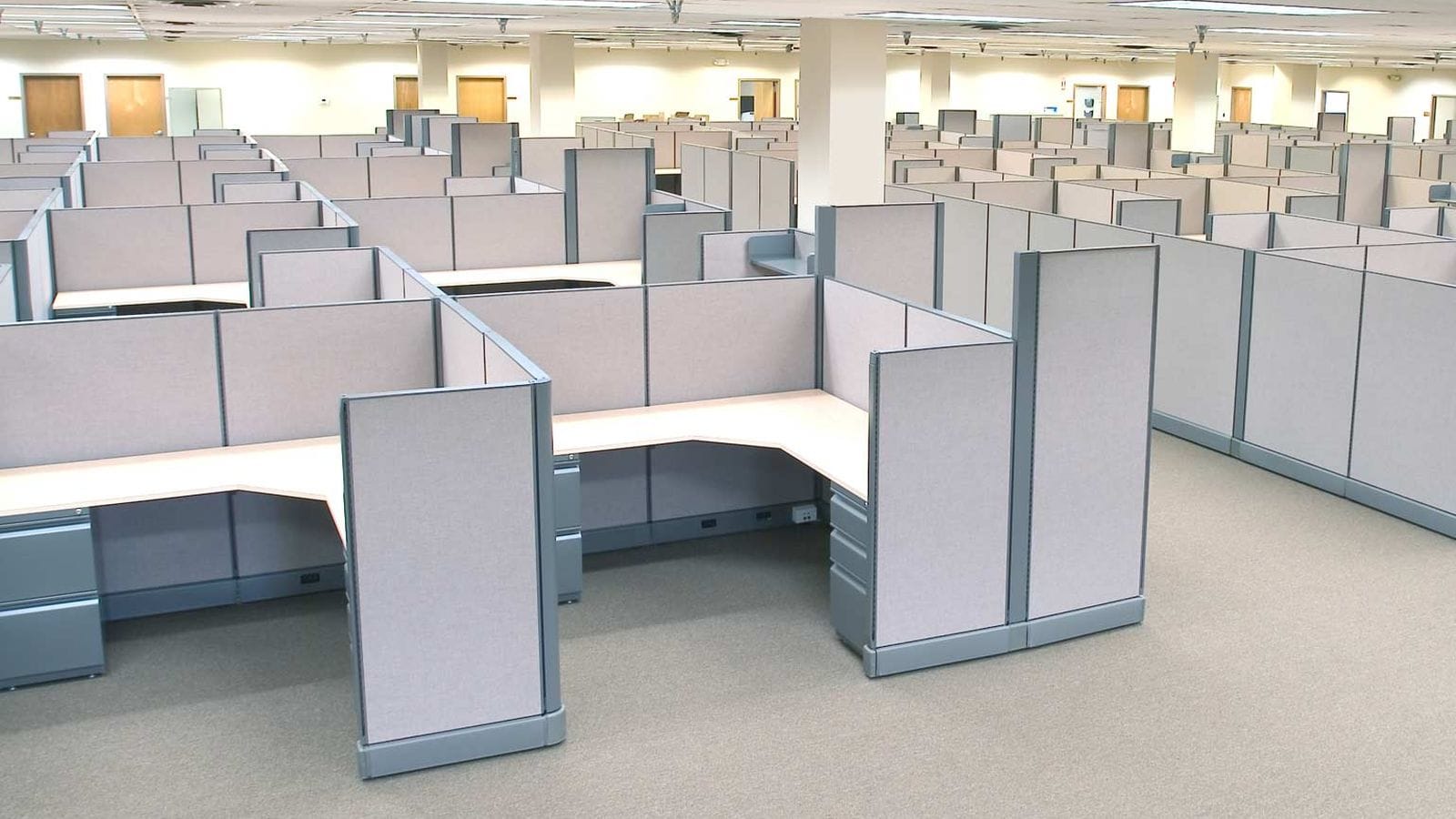 Rows of gray fabric panel cubicle workstations spread across an open office floor