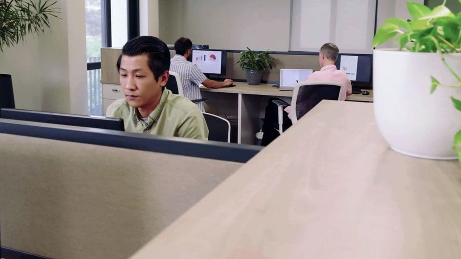 Employee working at a cubicle workstation surrounded by potted plants and monitors