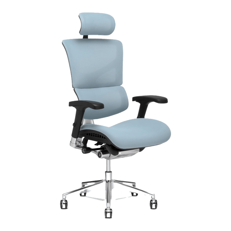 New Performance Management Chair in stock at Capital Choice Office Furniture in Columbus