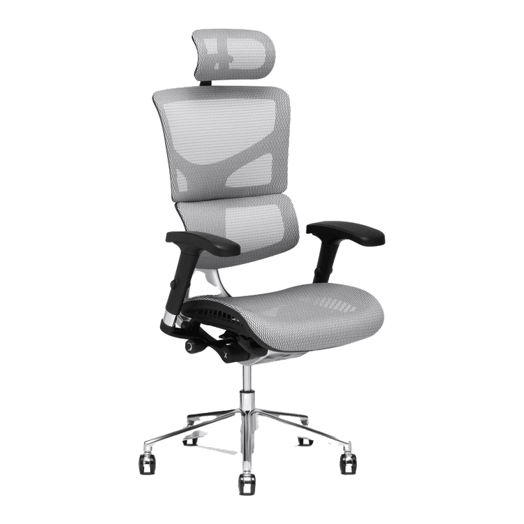 New Performance Mesh Task Chair in stock at Capital Choice Office Furniture in Columbus