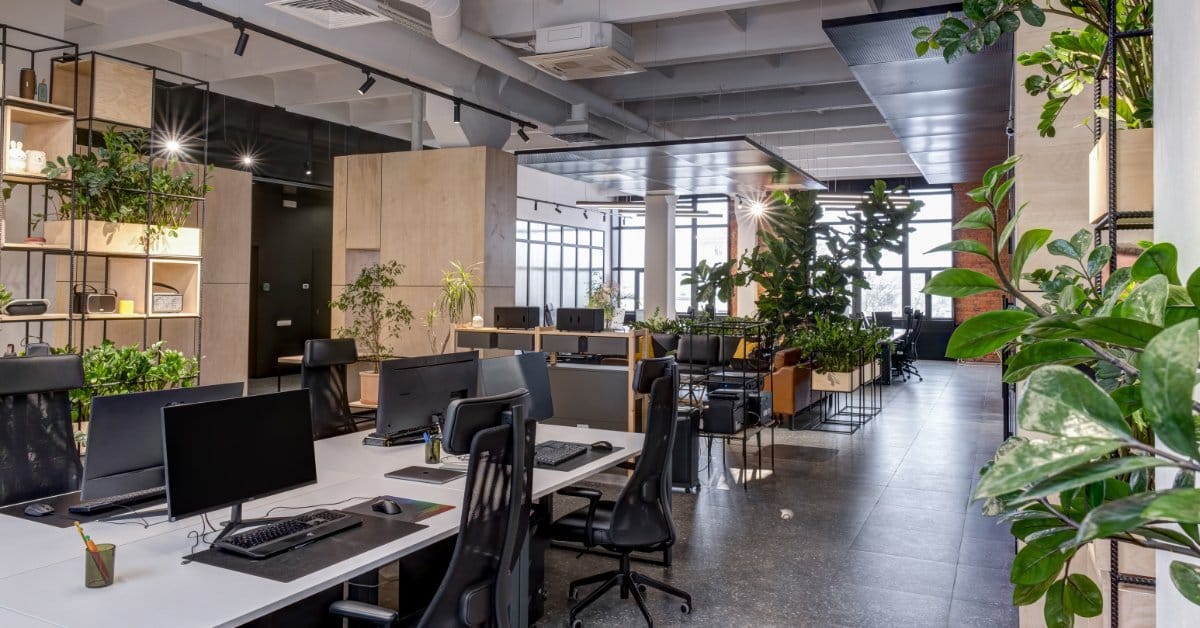 Open office workspace with desks, ergonomic chairs, plants, and a clear walkway for traffic flow