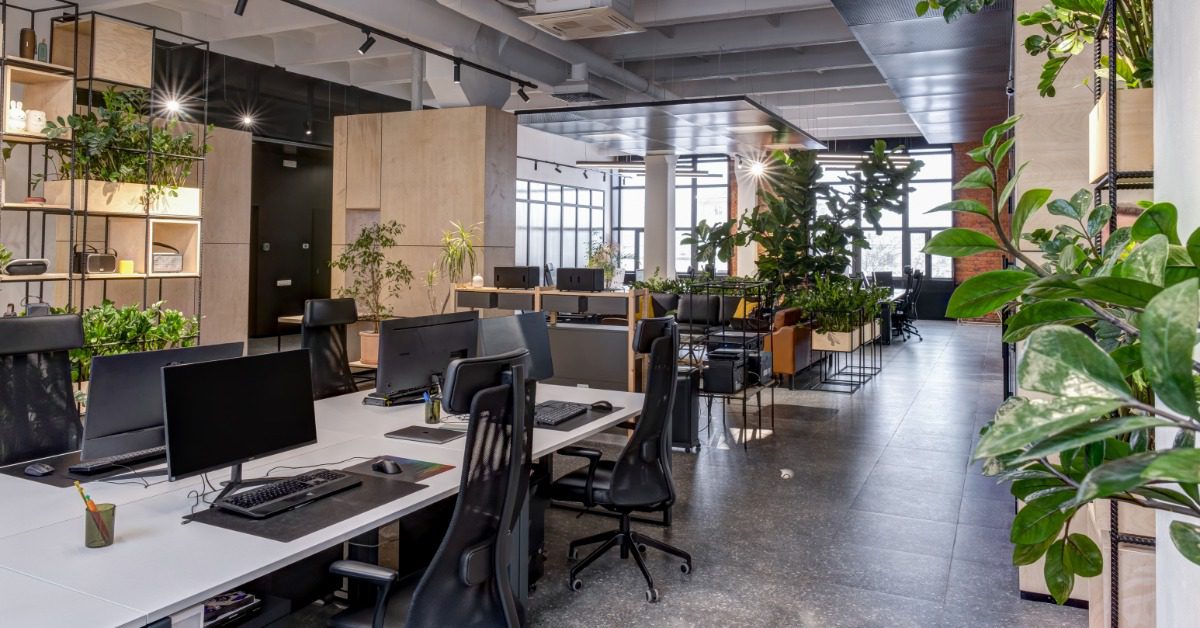 A modern open office with desks, computers, black chairs, wood accents, and a variety of indoor plants.